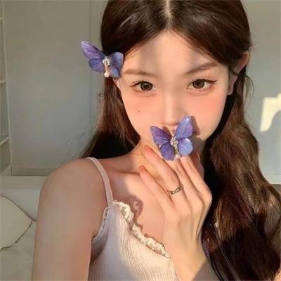 灰姑娘的故事：圣诞愿望